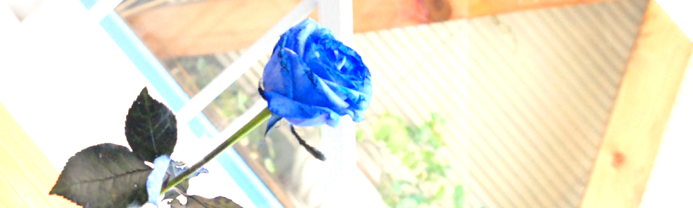 1本の薔薇（ばら）を残したい 1本の青バラを残す 1本の薔薇（ばら）をもらった後 イベントで薔薇をもらった 誕生日で1本の薔薇（ばら）をもらった　