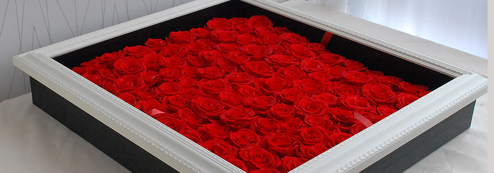 100本の薔薇の花束をもらった 100本のばらの花束をもらった後 108本の薔薇をもらった後 108本のばらをもらった 99本の薔薇をもらった後 99本のばらをもらった　
